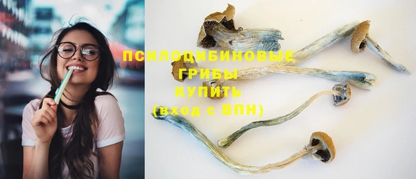 гашик Алзамай