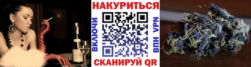 Шишки марихуана планчик Питкяранта